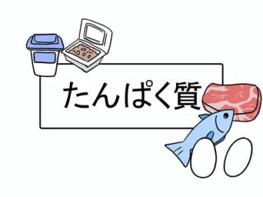 疲れが取れない？もしかしてタンパク質不足かも！肩こりとの関係も解説！